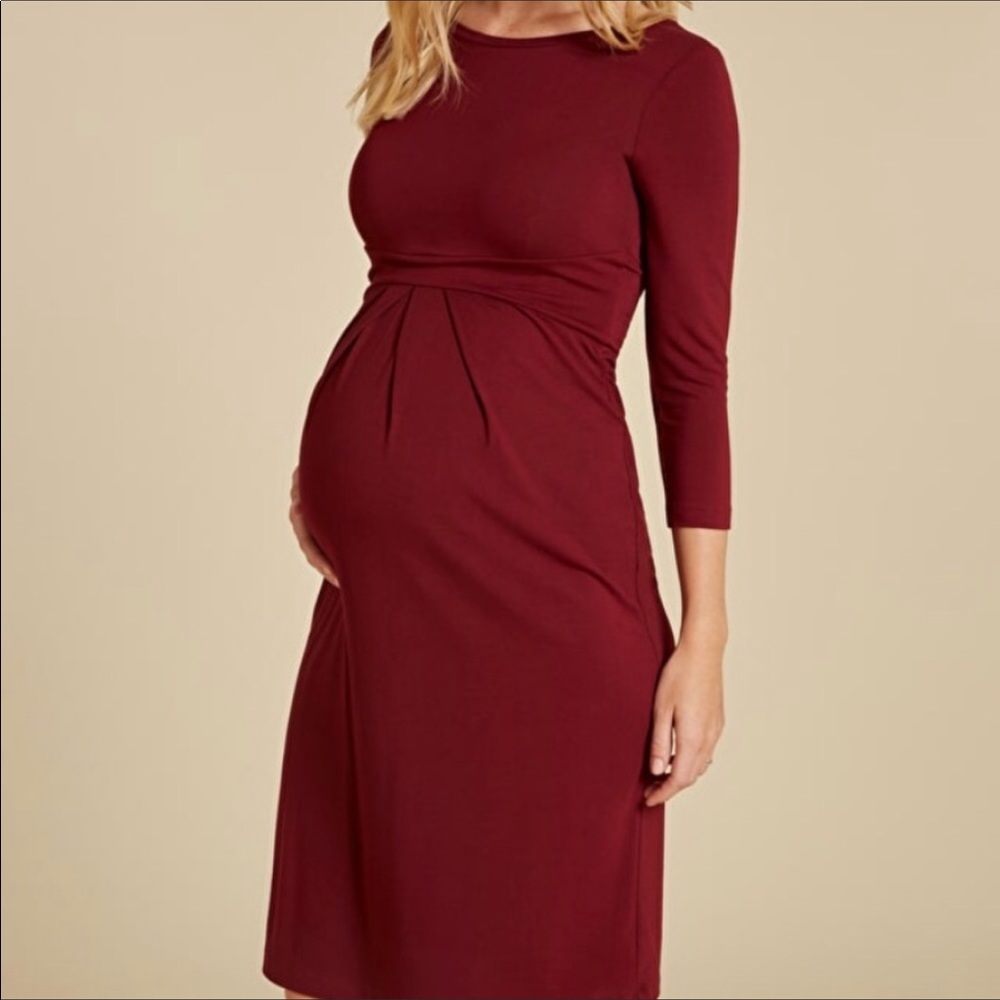 Isabella Oliver Ivybridge maternity dress 4 (US10)
